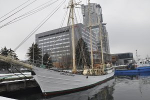 „Zawisza Czarny” już w Gdyni. Szykuje się do nowego sezonu // fot. Magdalena Czernek