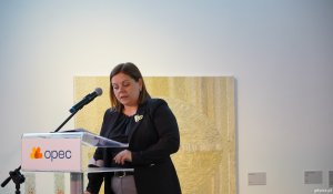 Przy mikrofonie prezydent Gdyni Aleksandra Kosiorek