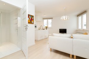 Salon z aneksem kuchennym w mieszkaniu Śląska 48/16