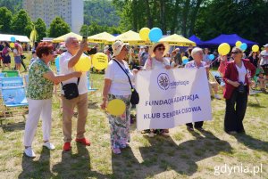Festyn zorganizowała Fundacja Adaptacja (fot. Magdalena Starnawska)