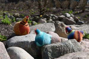 Wesoł&euml;ch Jastr&oacute;w! (fot. Adrianna Jask&oacute;łka)