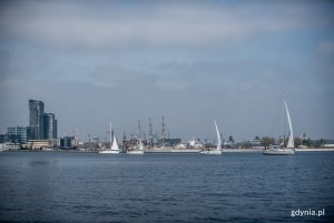 Pierwsza gra miejska dla przedsiębiorców w ramach cyklu „Spotkajmy się Gdyni”, fot. Maciej Czarniak