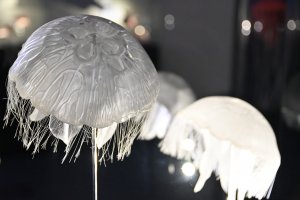 Wystawa "Tajemnice Głębin" w Centrum Nauki Experyment