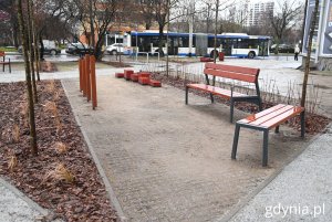 Ławki oraz drewniane skrzynie stojące w parku