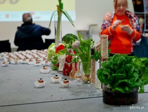 Warzywna ekspozycja w towarzystwie wegańskiego pasztetu