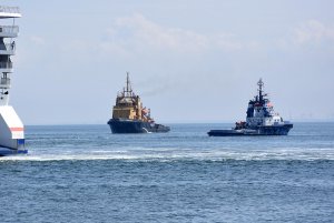 Pokaz ratownictwa i działań antyterrorystycznych fot. Michał Puszczewicz