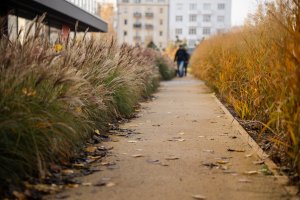 Park Centralny w centrum Gdyni // fot. Karol Stańczak 