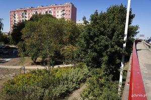 Park z zieleńcem i drzewami, w tle blok mieszkalny.