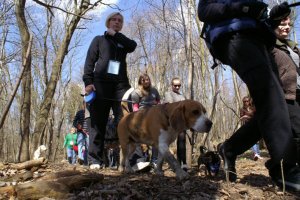 Spacer mieszkańców Gdyni z psami po lesie