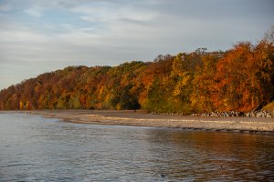 Plaża w Orłowie // fot. Karol Stańczak 