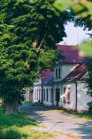 Babie Doły – kurort jeszcze nie odkryty fot. mat. prasowe LIS