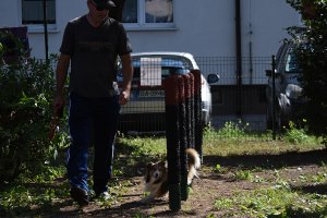 Otwarcie wybiegu na ul. Tucholskiej (Oksywie/Obłuże)