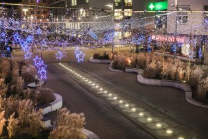 Gdynia rozbłysła na Święta tysiącami światełek // fot.Karol Stańczak