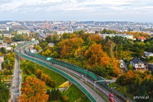 Widok z lotu ptaka na fragment Estakady Kwiatkowskiego i rosnących obok niej drzew i krzewów w jesiennej szacie // fot. Michał Puszczewicz