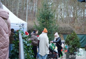 Kilka os&oacute;b kładzie pod choinką prezenty dla zwierząt