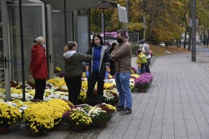 Producenci, ogrodnicy i sprzedawcy przy cmentarzach liczą straty związane z zamknięciem przez rząd cmentarzy w okresie Wszystkich Świętych. Na zdj. stoisko z kwiatami i zniczami przy cmentarzu witomińskim, fot. Magdalena Śliżewska