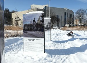 Bazylika na zdjęciach