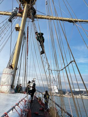  Gdyńscy uczniowie podczas rejsu na STS &bdquo;Pogoria&rdquo;