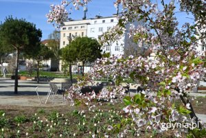 Park Centralny (fot. Magdalena Starnawska)