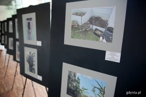 Fotografie dzieci na wystawie.