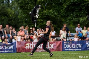 Zawody Latających Psów 2017 - Park Kolibki, Gdynia // fot.Dawid Linkowski