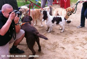 Psie fikołki - festyn edukacyjny "Pies w wielkim mieście" 13.05.2012