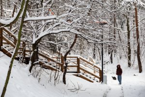 Park Leśny, fot. gdynia.pl