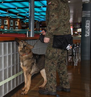 Ćwiczenia „Cerber” na pokładzie Stena Spirit // fot. Port Gdynia, mat. prasowe