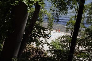 Plaża w Orłowie. Widok z wysokości poprzez drzewa na dwójkę spacerujących po piasku plażowiczów i morze. Fot, Przemysław Kozłowski