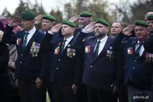 Żołnierze stoją w szeregu i salutują