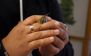 Drugie spotkanie w ramach „Akcji Karmnik” w Leśnym Ogrodzie Botanicznym Marszewo, fot. Kamil Złoch