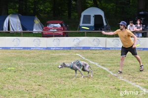 Właściciel rzuca psu frisbee