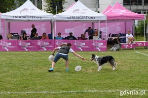 Właścicielka rzuca psu frisbee