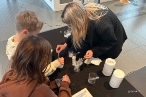 Pokazy łączyły wiedzę z chemii i fizyki (fot. Magdalena Starnawska)