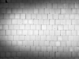SP 51, fot. Tomek Lelito