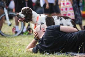 Piknik Rodzinny Ironman Chwarzno-Wiczlino 2019, fot. Karol Stańczak