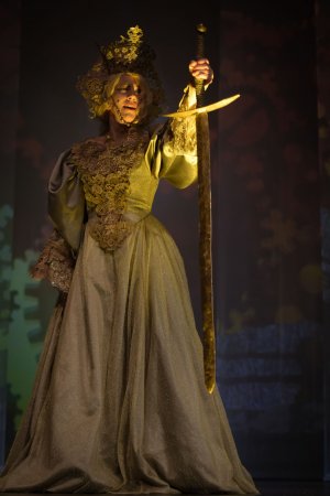 "Przygody Remusa" w Teatrze Miejskim w Gdyni // fot. Roman Jocher