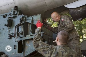 fot. Henryk Nagrodzki (MMW)