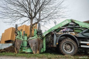 Przesadzanie drzew z ulicy Chwarznieńskiej na Witominie, fot. Kamil Złoch