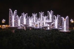 Gdynia rozbłysła na Święta tysiącami światełek // fot.Karol Stańczak