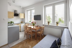 Jeden z apartamentów Sleepy3city, salon z aneksem kuchennym