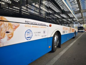 Trolejbusy przypominają o 1% dla gdyńskich organizacji // fot. Danuta Kantrzonka