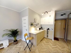 Apartament Studio Gruszka, widok na kuchnię