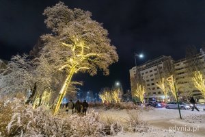 Iluminacje świetlne (fot. Paweł Budziński)