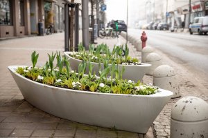Gdyńskie kwietniki w kształcie ł&oacute;dek zapełniły się wiosennymi kwiatami (materiały Wydziału Ogrodnika Miasta)