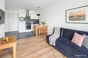 Salon z aneksem kuchennym w obiekcie Sleepy3city - Apartament Batorego 9