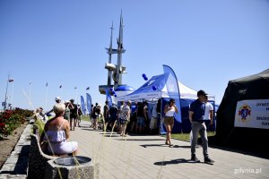 W Gdyni odbyły się uroczystości z okazji Święta Marynarki Wojennej // fot. Paweł Kukla