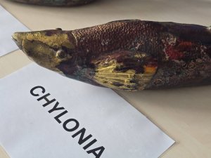Jubileuszowa rybka dzielnicy Chylonia (fot. Monika Rak)