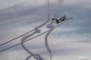 Sobotnie pokazy lotnicze nad gdyńską plażą miejską // fot. Dawid Linkowski