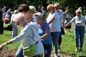 Seniorzy w tańcu na pikniku na Polance Redłowskiej